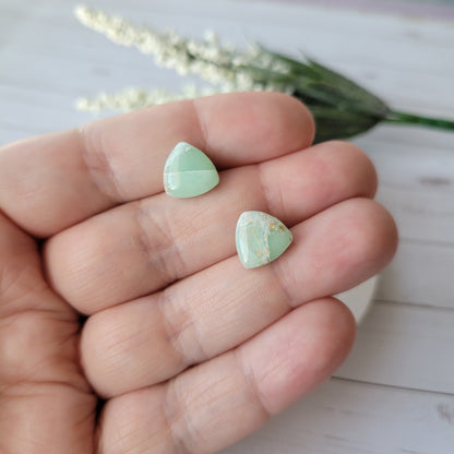 Reuleaux Triangle Studs | Light Green Marble